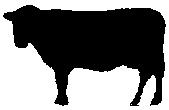 The Great Cow